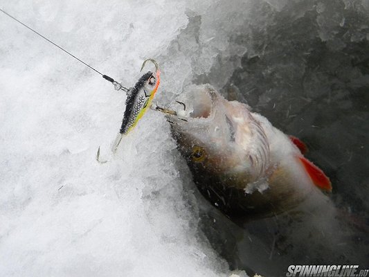Изображение 1 : Рыбалка на переломе погоды