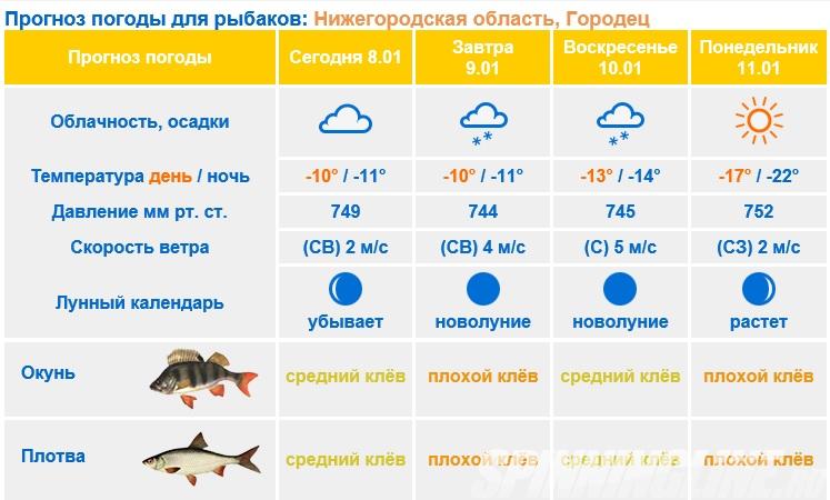 Клев городец. Прогноз клева. Прогноз рыбалки. Прогноз погоды для рыбалка на завтра. Прогноз клева на завтра.