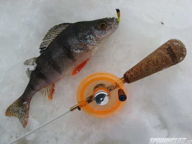 Изображение 1 : О рыбалке в глухозимье, или Рыба есть!